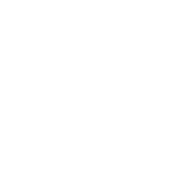 Cursor Image